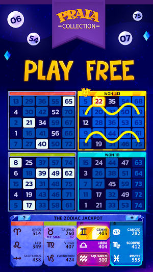 Video Bingo Malibu Screenshot 0