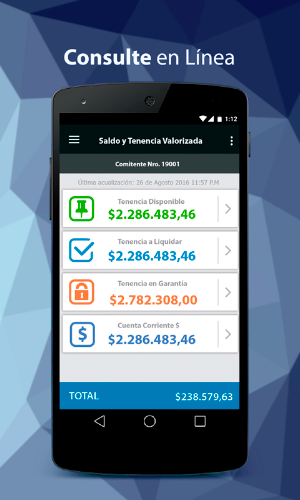 Mills Capital Markets S.A. Screenshot 1