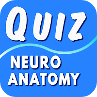 Neuroanatomy Questions