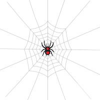 Spider Net