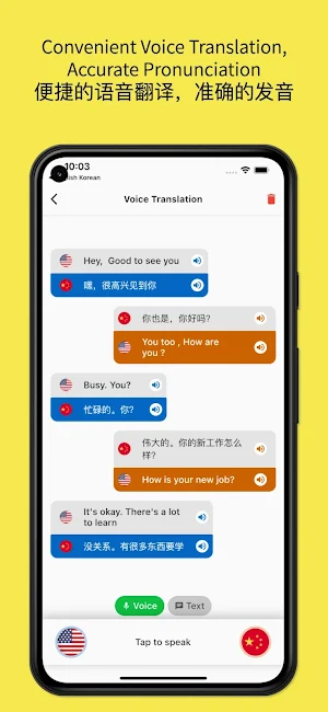 English to Chinese Translator Screenshot 2