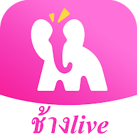 ช้างlive