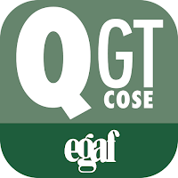 Quiz Gestore Trasporto Cose