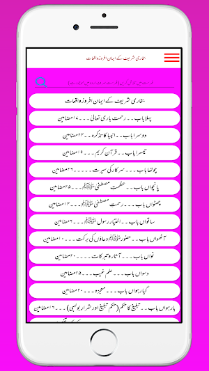 Bukhari Ke Waqiat بخاری واقعات Screenshot 3