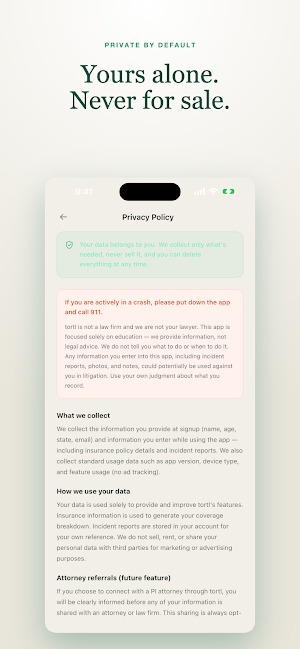 tortl Screenshot 1