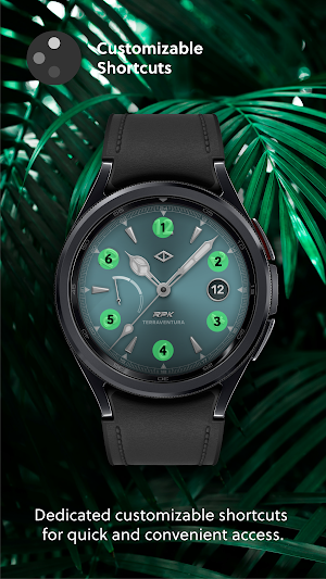 Terraventura Analog Watch Face Screenshot 2