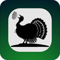 Turkey Hunting Calls & Sounds