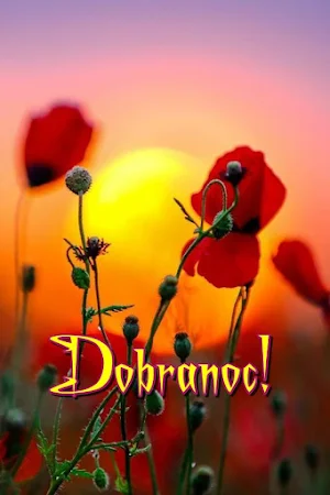 Dobranoc! Screenshot 2
