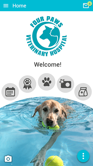 Four Paws Vet Hospital Screenshot 0