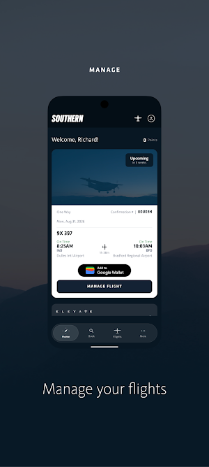 Southern Airways Screenshot 2
