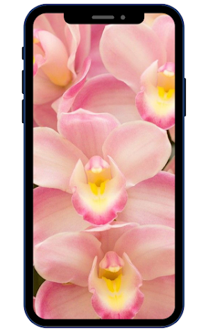 Orchid Wallpapers Screenshot 1