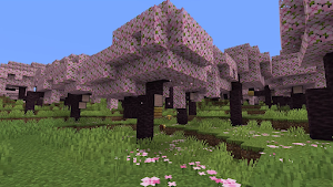 Mastercraft 2024 Adventure Screenshot 2