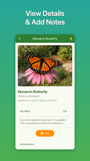 Caterpillar & Butterfly ID Screenshot 3