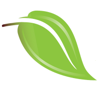 Aesthetics Medical Spa