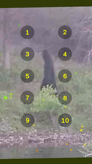 Bigfoot Sound Recordings Screenshot 1