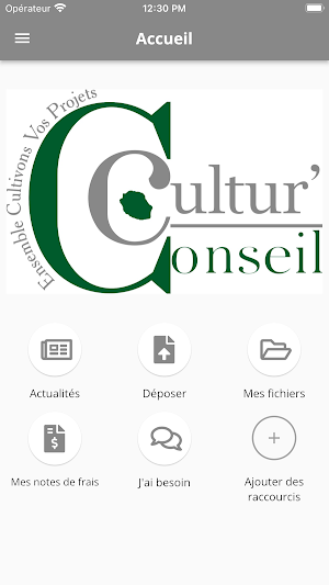 CULTUR’CONSEIL Screenshot 1