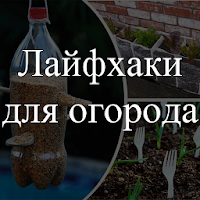 Лайфхаки для огорода. Советы