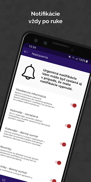 NEPLAT-POKUTY Screenshot 2