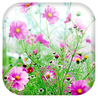 Sweet Flowers Live Wallpaper