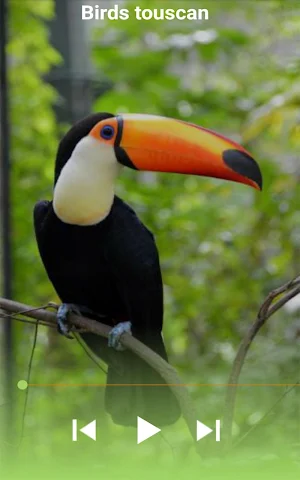 Animals Voice Screenshot 0
