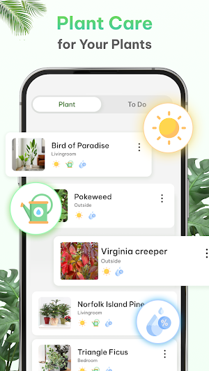 Leavif - Plant identifier Screenshot 2