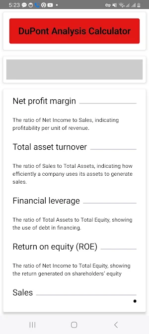 DuPont Analysis Calculator Screenshot 3