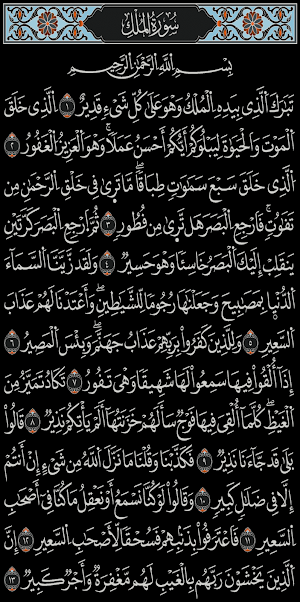 القرآن الكريم برواية الدوري Screenshot 1