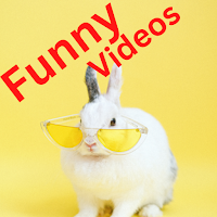 Funny video – funny tubes