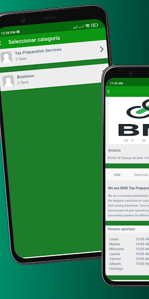 BMSTAX Screenshot 3