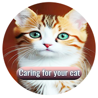 General Cat Care