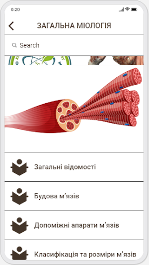 Human Anatomy. Myology Screenshot 1