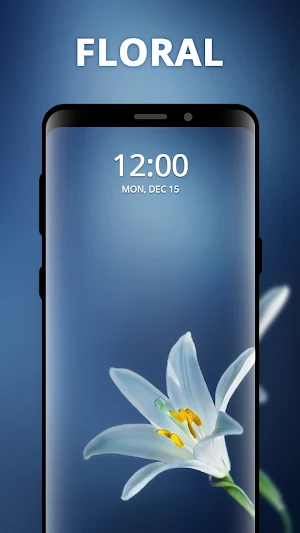 HD Wallpapers - Backgrounds Screenshot 2