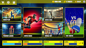 Cricket Match 3d Bat Ball Game Screenshot 1
