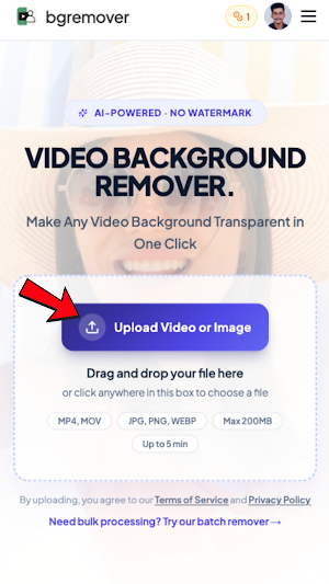AI Video Background Remover Screenshot 0