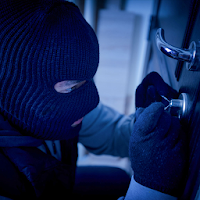 Pro Thief Simulator 3D