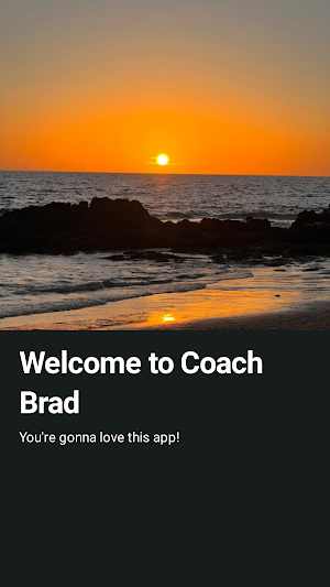 Coach Brad Screenshot 0