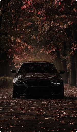 BMW M5 Wallpaper Screenshot 0