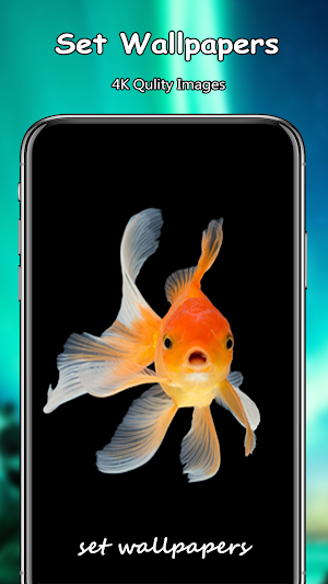 Fish Wallpapers Live PRO Screenshot 3