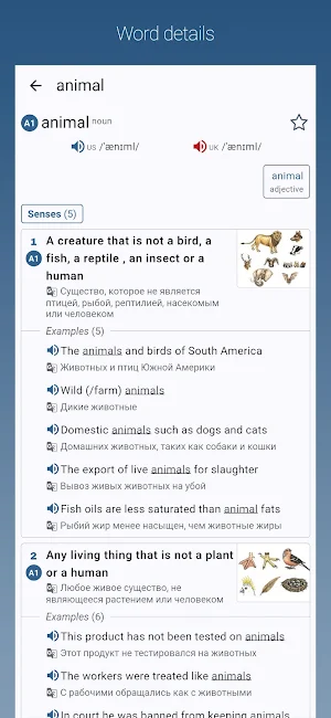 English-Russian Dictionary Pro Screenshot 0