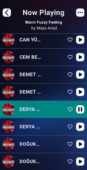 Turkish songs | 2025 offline Screenshot 1