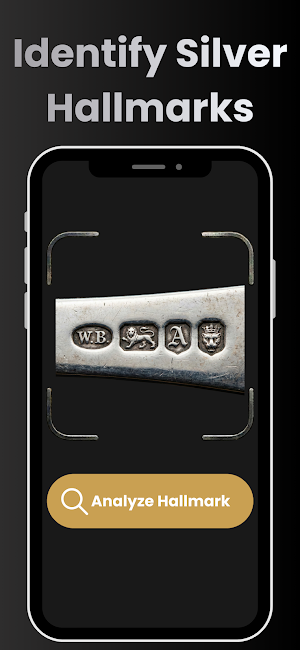 Silver Hallmark Identifier Screenshot 0