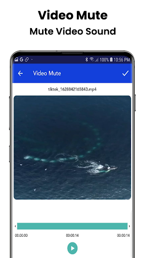 Add Music To Video Editor Screenshot 1