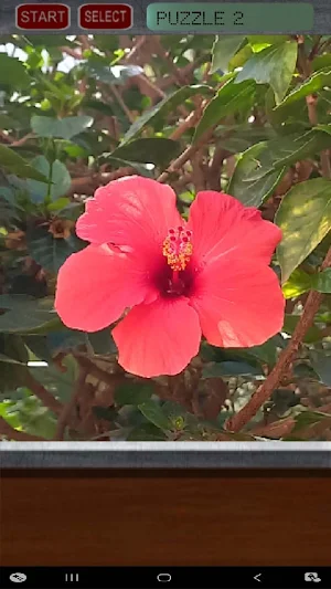 Flower Puzzle Screenshot 2
