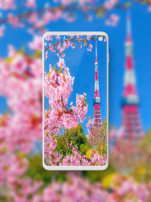 Sakura Wallpaper Screenshot 2