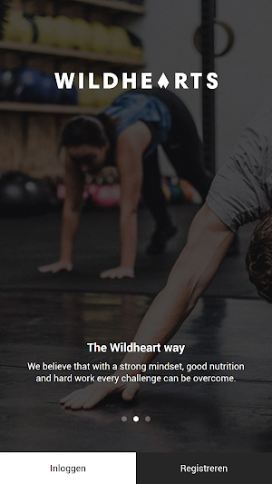 Wildhearts Screenshot 0