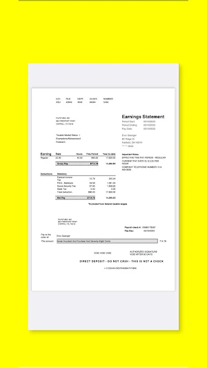 iPaystubx: Paystub Maker Screenshot 3