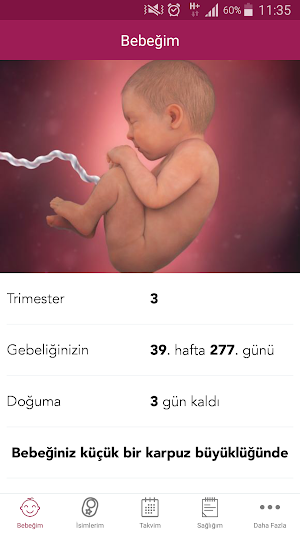 Mutlu Anne Screenshot 1
