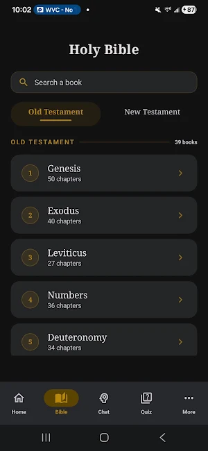 Lumina: AI Bible Study & Audio Screenshot 2
