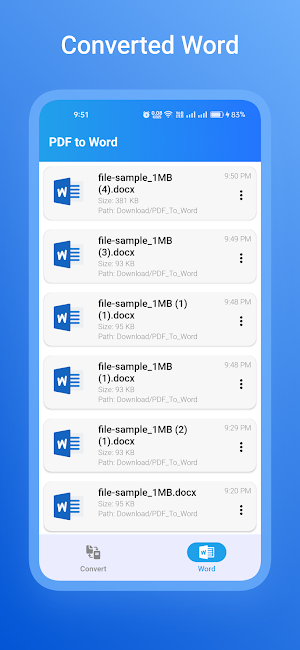 PDF to Word Converter Screenshot 2
