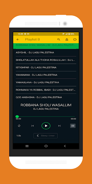 Dj Lagu Palestina Offline Screenshot 3